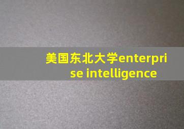 美国东北大学enterprise intelligence